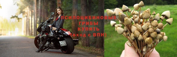 дживик Белоозёрский