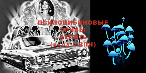 эйфоретик Богородск